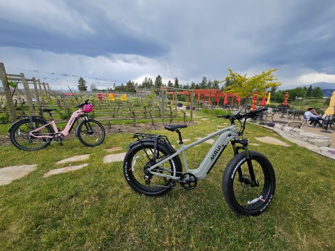 south-east-kelowna-wine-tour-ebike-rentals-02