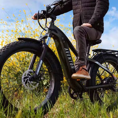 Bike ebike kelowna mountain bike
